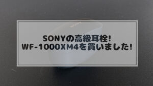 Read more about the article SONYの高級耳栓を買ってしまいました！ WF-1000XM4(ワイヤレスイヤホン)